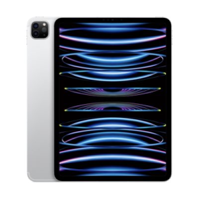 iPad Pro 11-inch M2 | 4th Generation